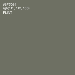 #6F7064 - Flint Color Image