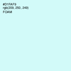 #D1FAF9 - Foam Color Image