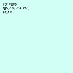 #D1FEF5 - Foam Color Image