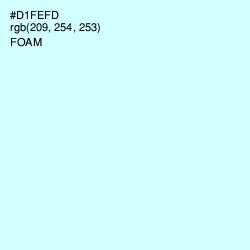 #D1FEFD - Foam Color Image