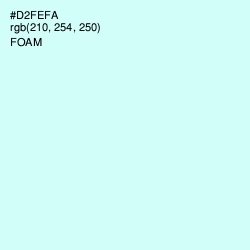 #D2FEFA - Foam Color Image