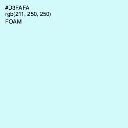 #D3FAFA - Foam Color Image