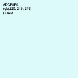 #DCF9F9 - Foam Color Image