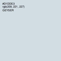 #D1DDE3 - Geyser Color Image