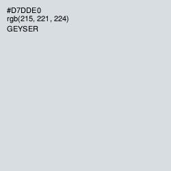 #D7DDE0 - Geyser Color Image