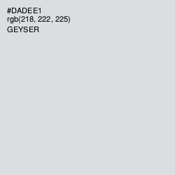 #DADEE1 - Geyser Color Image