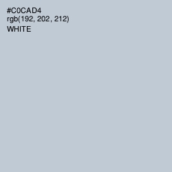 #C0CAD4 - Ghost Color Image