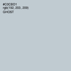 #C0CBD1 - Ghost Color Image
