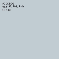 #C0CBD2 - Ghost Color Image