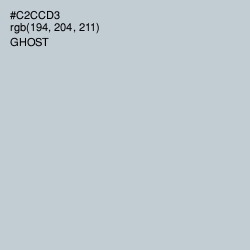 #C2CCD3 - Ghost Color Image