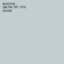 #C2CFD2 - Ghost Color Image
