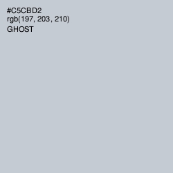 #C5CBD2 - Ghost Color Image