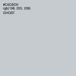 #C6CBD0 - Ghost Color Image