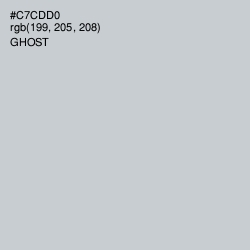 #C7CDD0 - Ghost Color Image