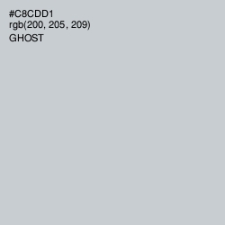 #C8CDD1 - Ghost Color Image