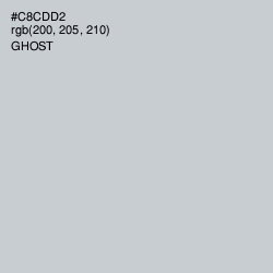 #C8CDD2 - Ghost Color Image