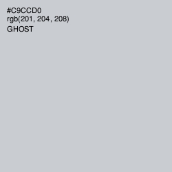 #C9CCD0 - Ghost Color Image