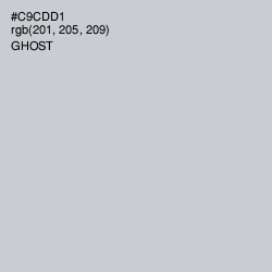 #C9CDD1 - Ghost Color Image