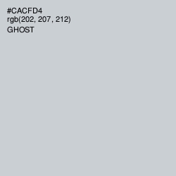 #CACFD4 - Ghost Color Image