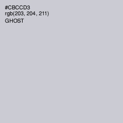 #CBCCD3 - Ghost Color Image