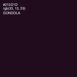 #210D1D - Gondola Color Image