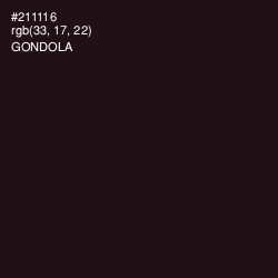 #211116 - Gondola Color Image