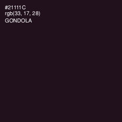 #21111C - Gondola Color Image