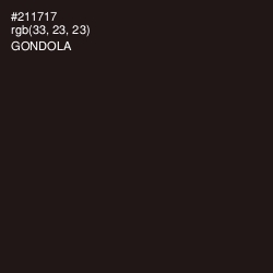 #211717 - Gondola Color Image