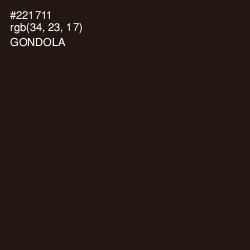#221711 - Gondola Color Image