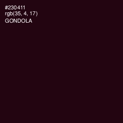 #230411 - Gondola Color Image