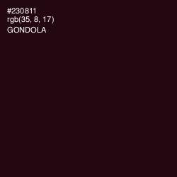 #230811 - Gondola Color Image