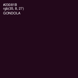#23081B - Gondola Color Image