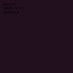 #23101F - Gondola Color Image