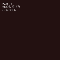 #231111 - Gondola Color Image