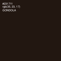 #231711 - Gondola Color Image