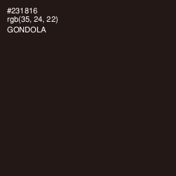 #231816 - Gondola Color Image