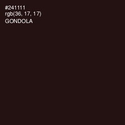 #241111 - Gondola Color Image