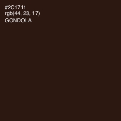 #2C1711 - Gondola Color Image