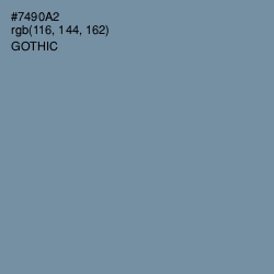 #7490A2 - Gothic Color Image