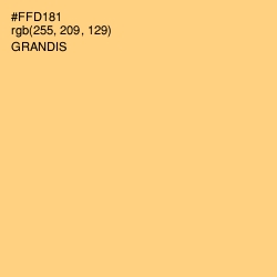 #FFD181 - Grandis Color Image