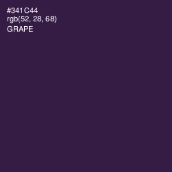 #341C44 - Grape Color Image