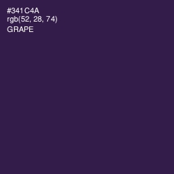 #341C4A - Grape Color Image