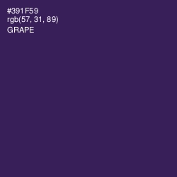 #391F59 - Grape Color Image