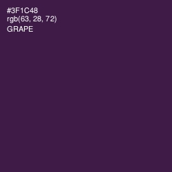 #3F1C48 - Grape Color Image