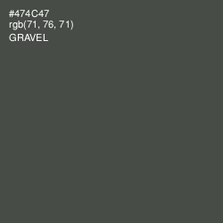 #474C47 - Gravel Color Image