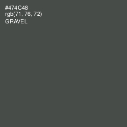 #474C48 - Gravel Color Image