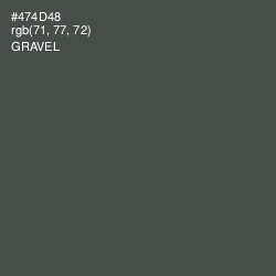 #474D48 - Gravel Color Image