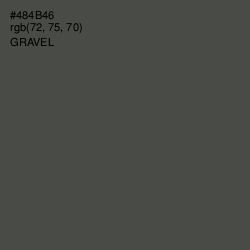 #484B46 - Gravel Color Image