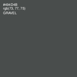 #494D4B - Gravel Color Image