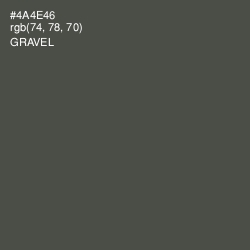 #4A4E46 - Gravel Color Image